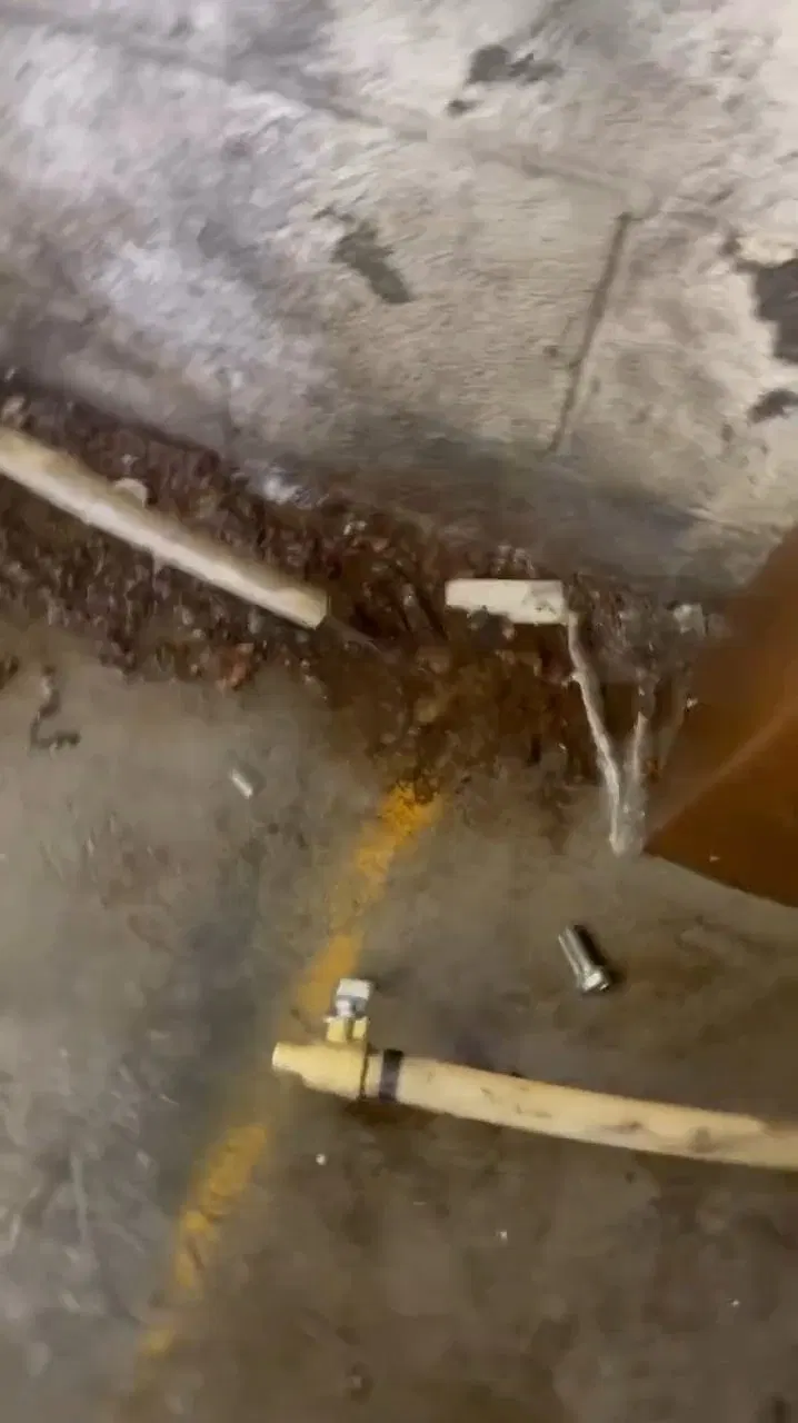 Copper Pipe Repair In Shallow Floor Trench shown for Burst & Broken Pipe Repair in Dallas, GA in Dallas, Georgia.