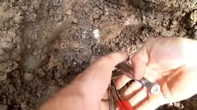 Cutting Damaged Underground Pipe End shown for Plumbing guides for Dallas and Paulding County in Dallas, Georgia.
