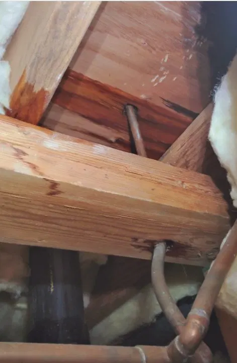 Damaged Plumbing Under Slab Floor shown for Slab Leak Detection & Repair in Dallas, GA in Dallas, Georgia.