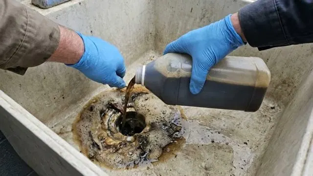 Foaming Baking Soda Drain Cleaning Reaction shown for Should a Dallas, GA Home on Septic Even Have a Garbage Disposal? in Dallas, Georgia.