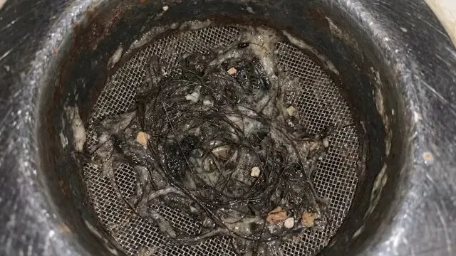 Grease Clog Inside Kitchen Drain Pipe shown for Septic Tank Service in Dallas, GA in Dallas, Georgia.