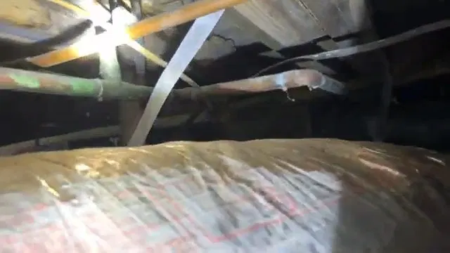 Insulation And Damaged Wood In Crawlspace shown for How Long Should a Water Heater Actually Last in Dallas, GA? in Dallas, Georgia.