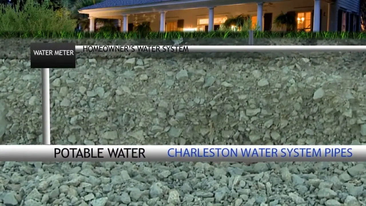 Potable Water And Irrigation Backflow Diagram shown for Water Bill Spike in Dallas, GA: Is It a Leak? in Dallas, Georgia.