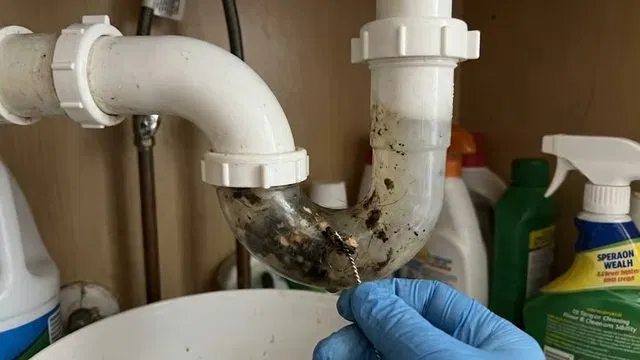 Removed Clogged Sink P Trap shown for How Often Does a Septic Tank Actually Need Pumping in Paulding County? in Dallas, Georgia.