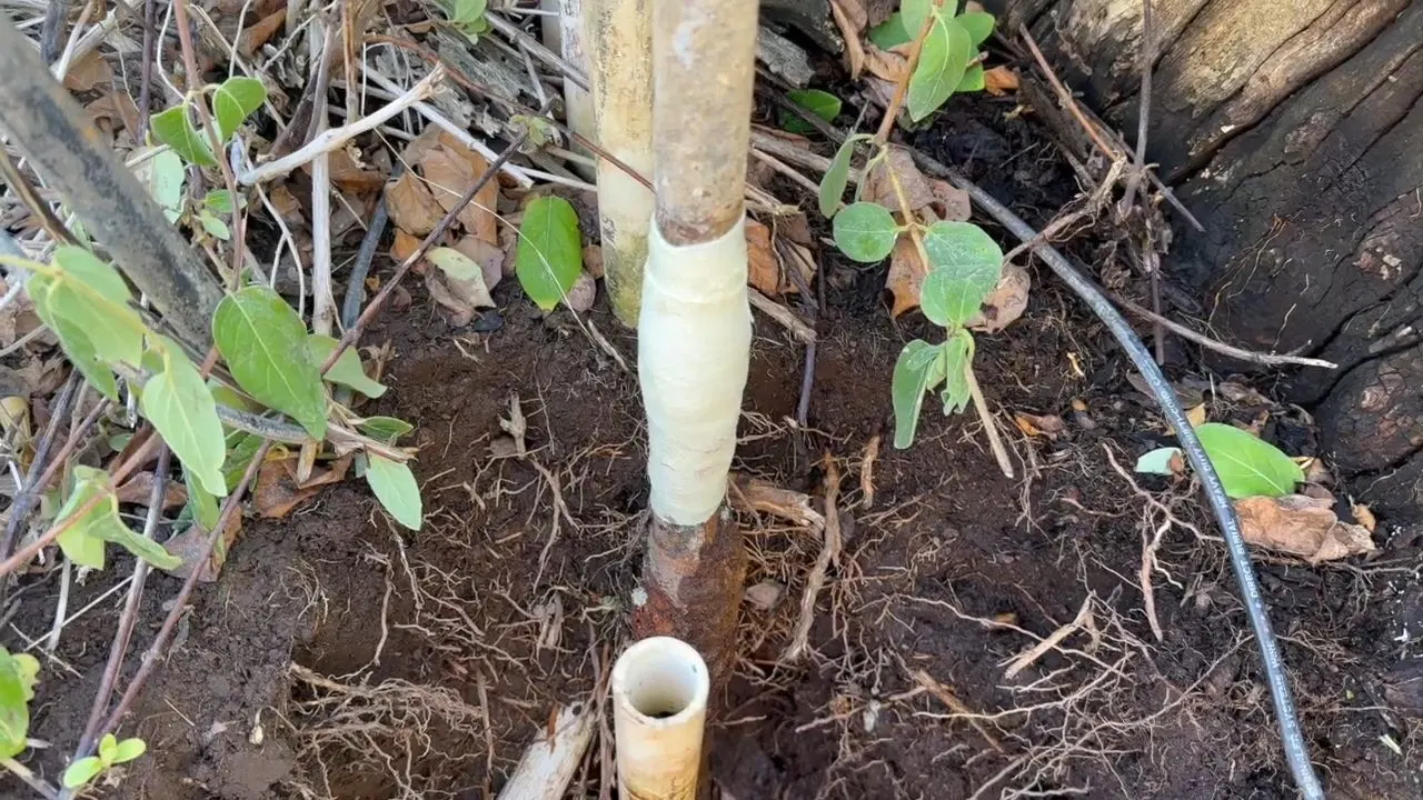 Repaired Garden Sprinkler Pipe In Soil shown for How Many Pinhole Leaks Before a Dallas, GA Home Needs a Full Repipe? in Dallas, Georgia.