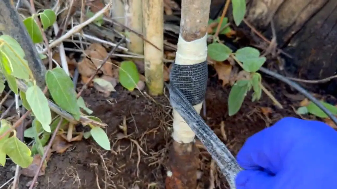 Wrapping Hole In Garden Sprinkler Pipe shown for The First Five Minutes of a Burst Pipe in a Dallas, GA Home in Dallas, Georgia.